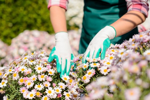 Operative using protective equipment while trimming hedges